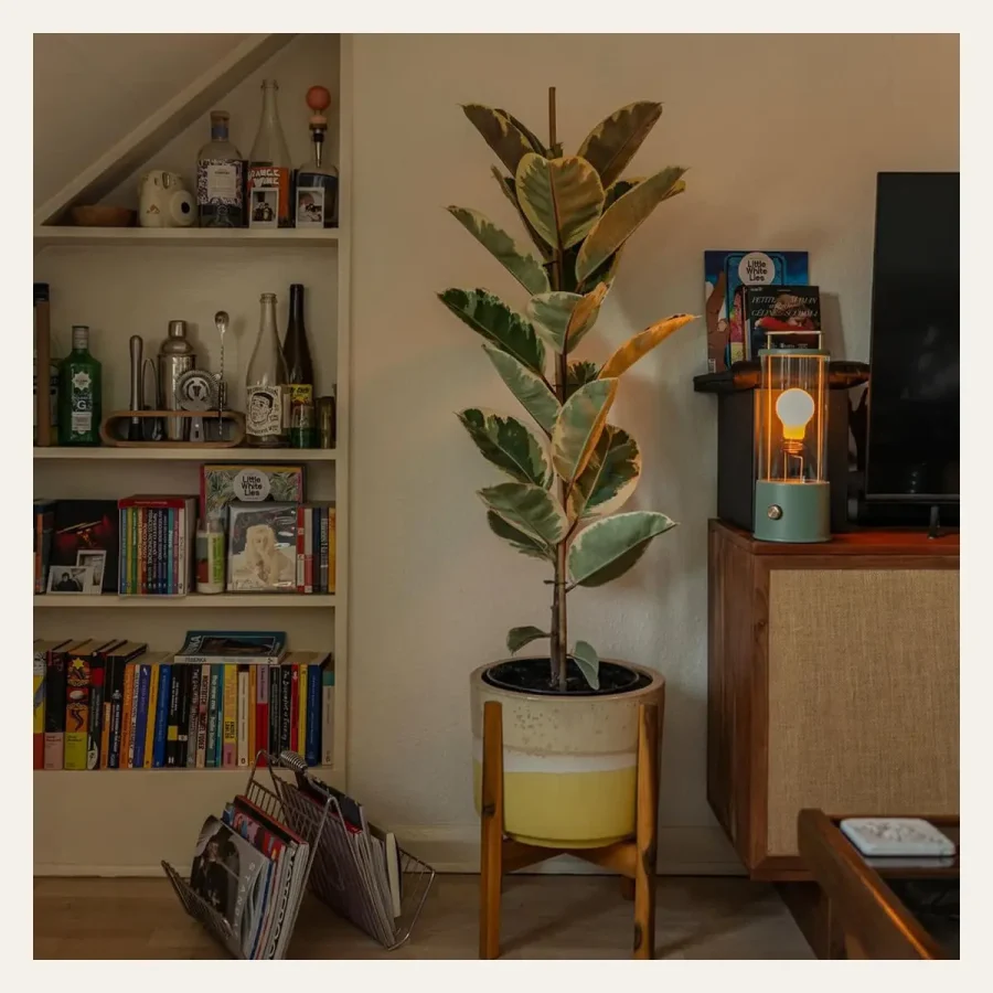The Rugged Muse 2.0 Portable Lamp official product image
